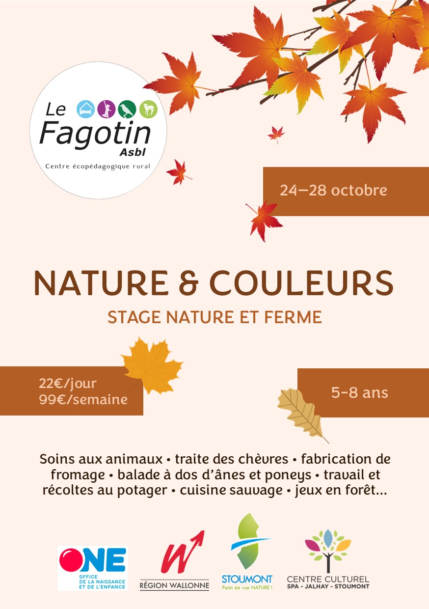 Nature et couleurs d'automne
