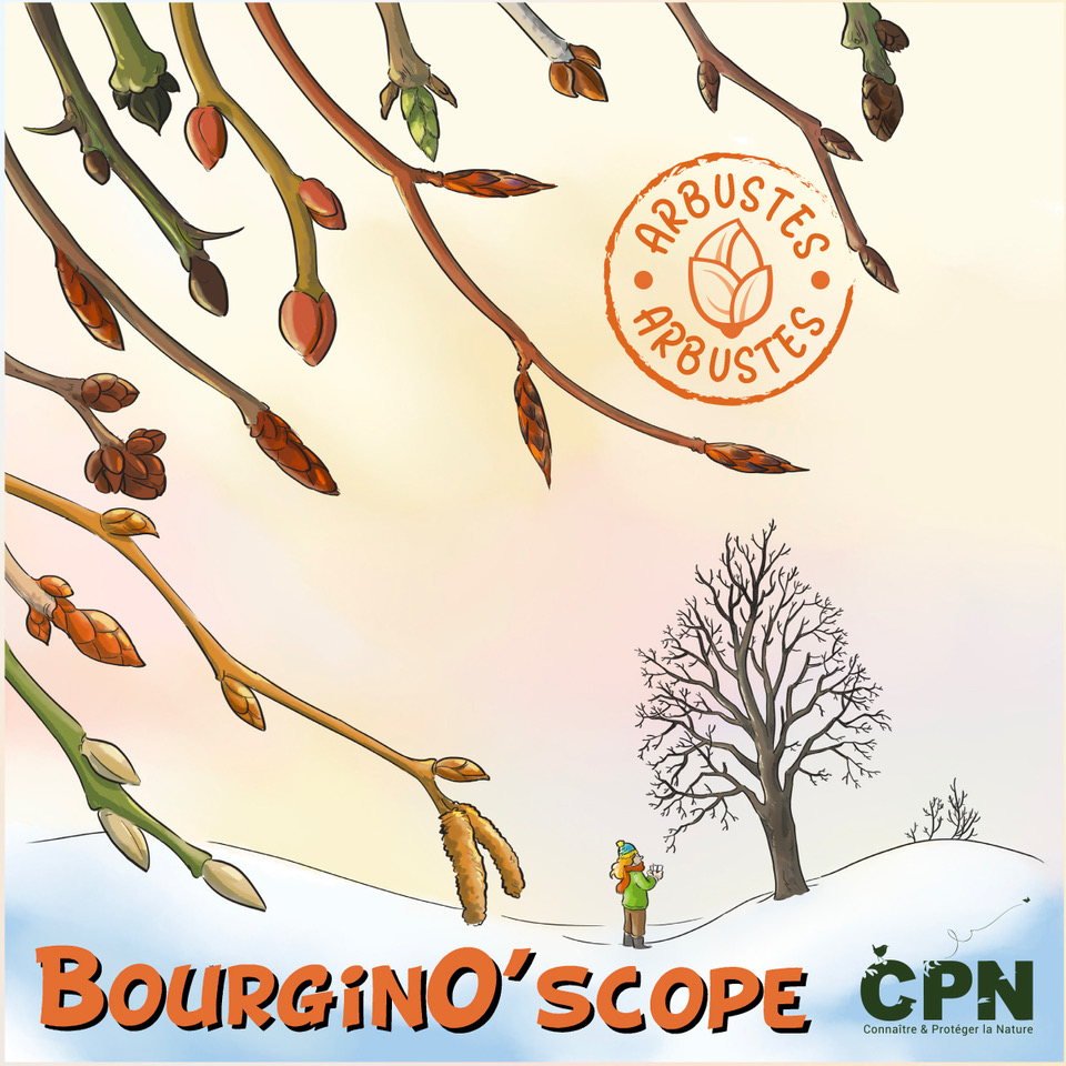 BourginO’scope 