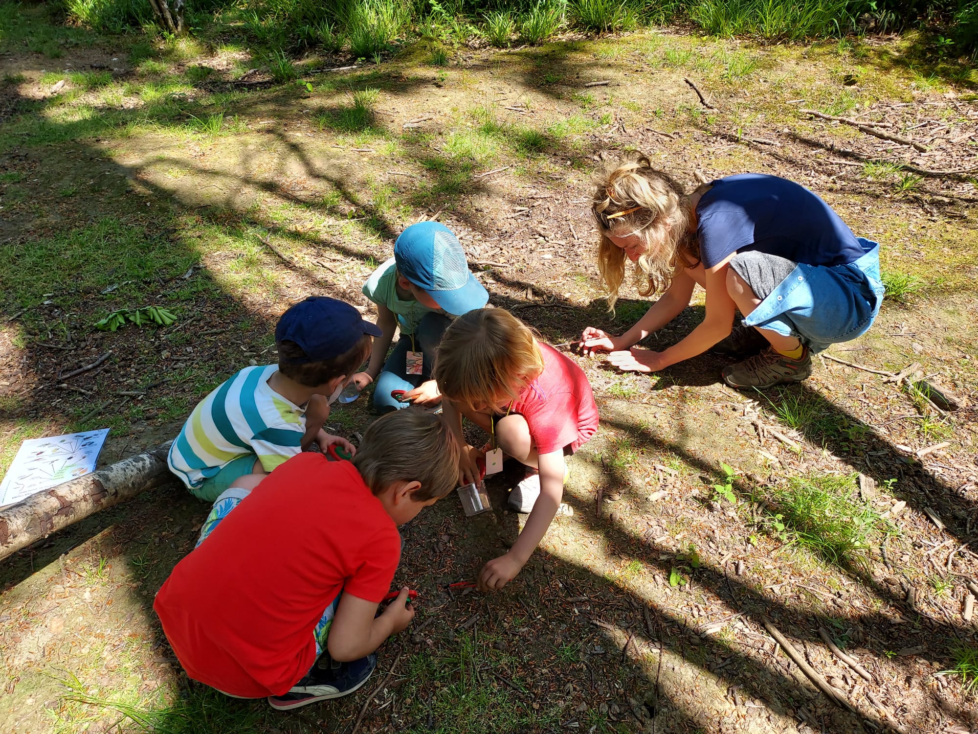 quelques enfants cherchent les petites bêtes du sol