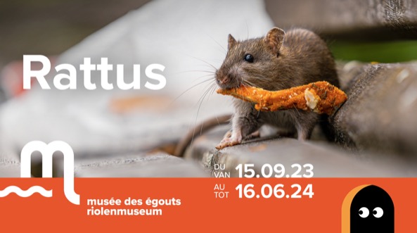 rattus-exposition-musee-des-egouts