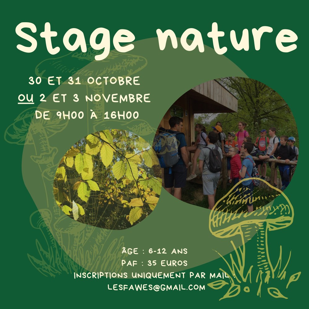 Stage Nature Toussaint