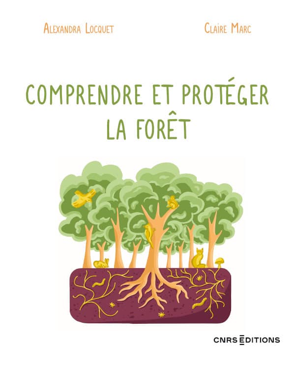 Comprendre et protéger la forêt