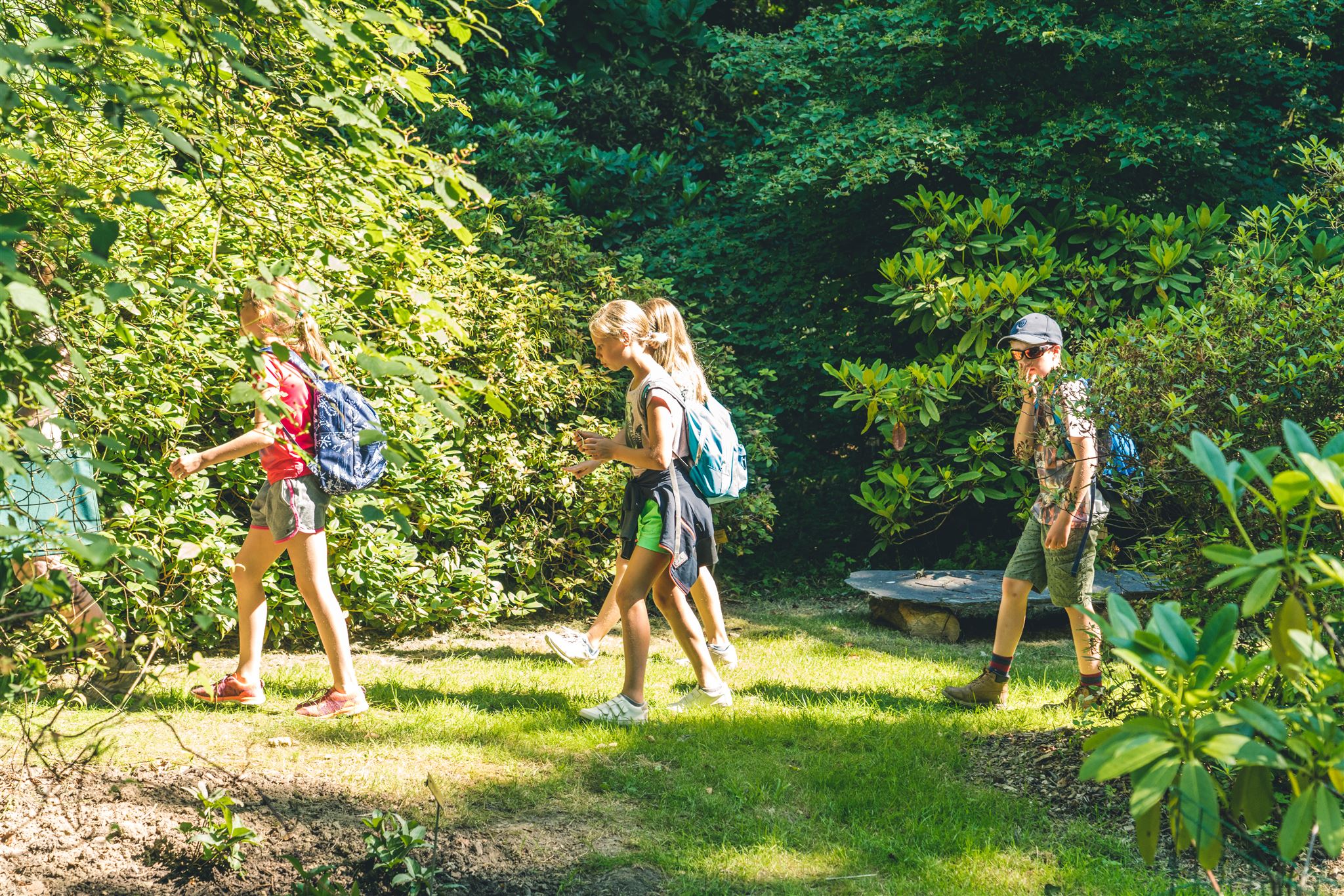 Atelier éducatif au Jardin botanique de Meise