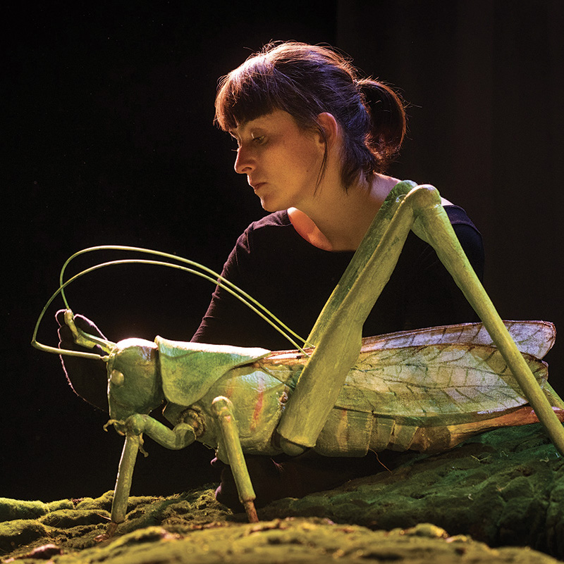 Symbioses 138 Insectes et autres petites bêtes