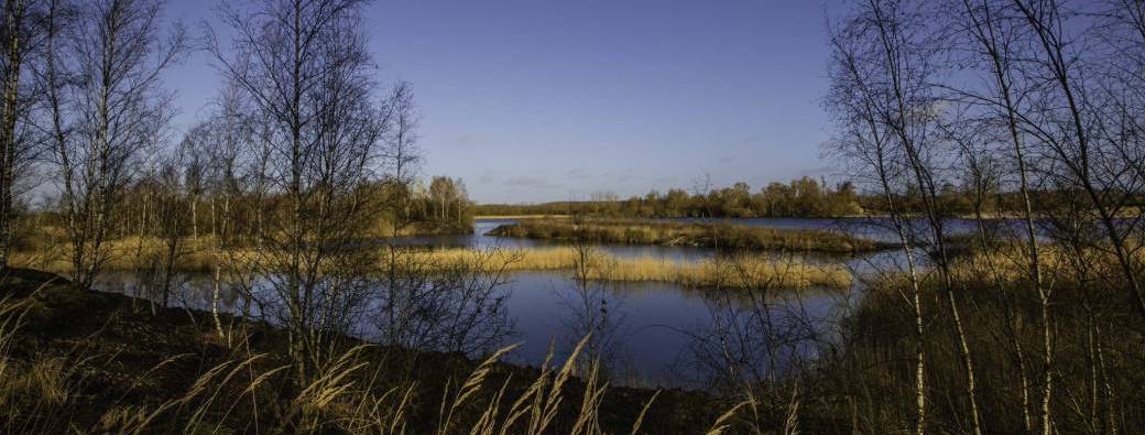 Biodiversité, tous reliés !