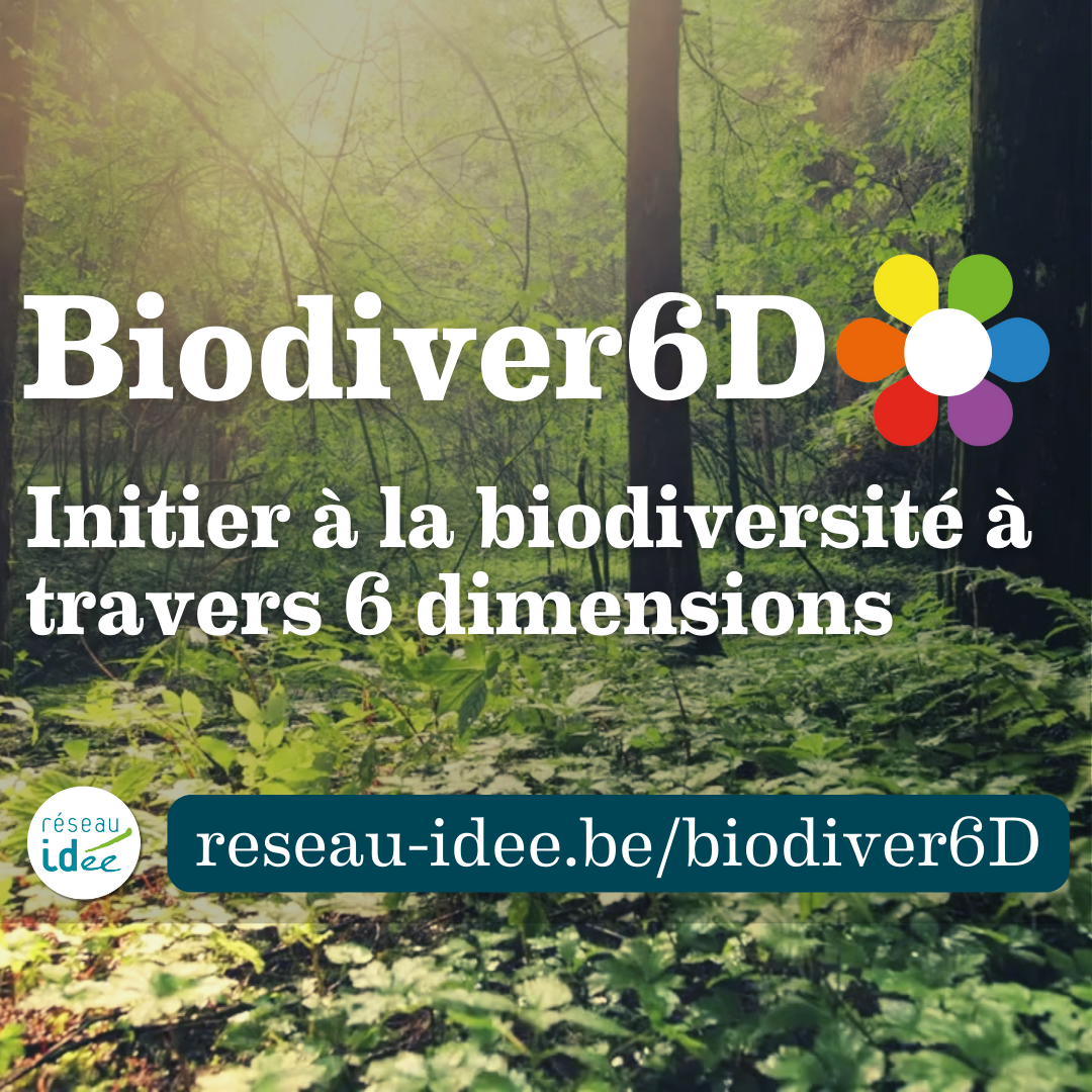 Biodiver6D - Réseau IDée