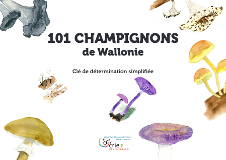 101 champignons de Wallonie