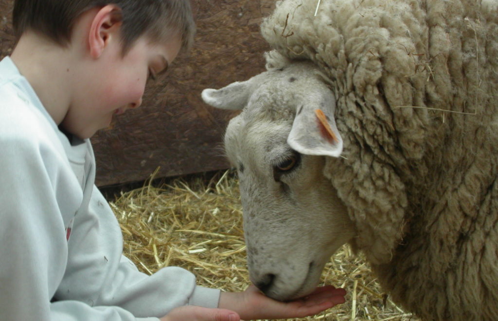 Vie à la Ferme