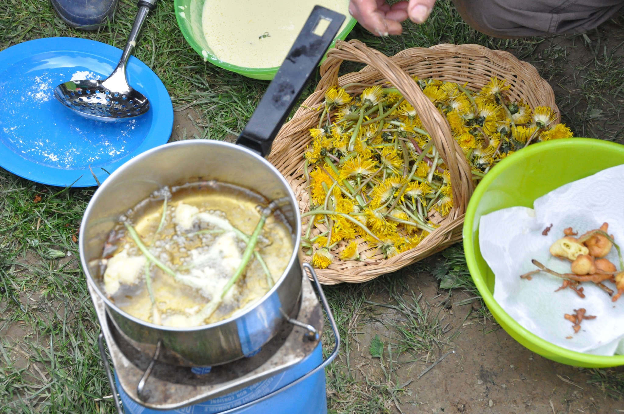 Cuisinons les délices de la nature : miam, slurp, c’est trop bon !