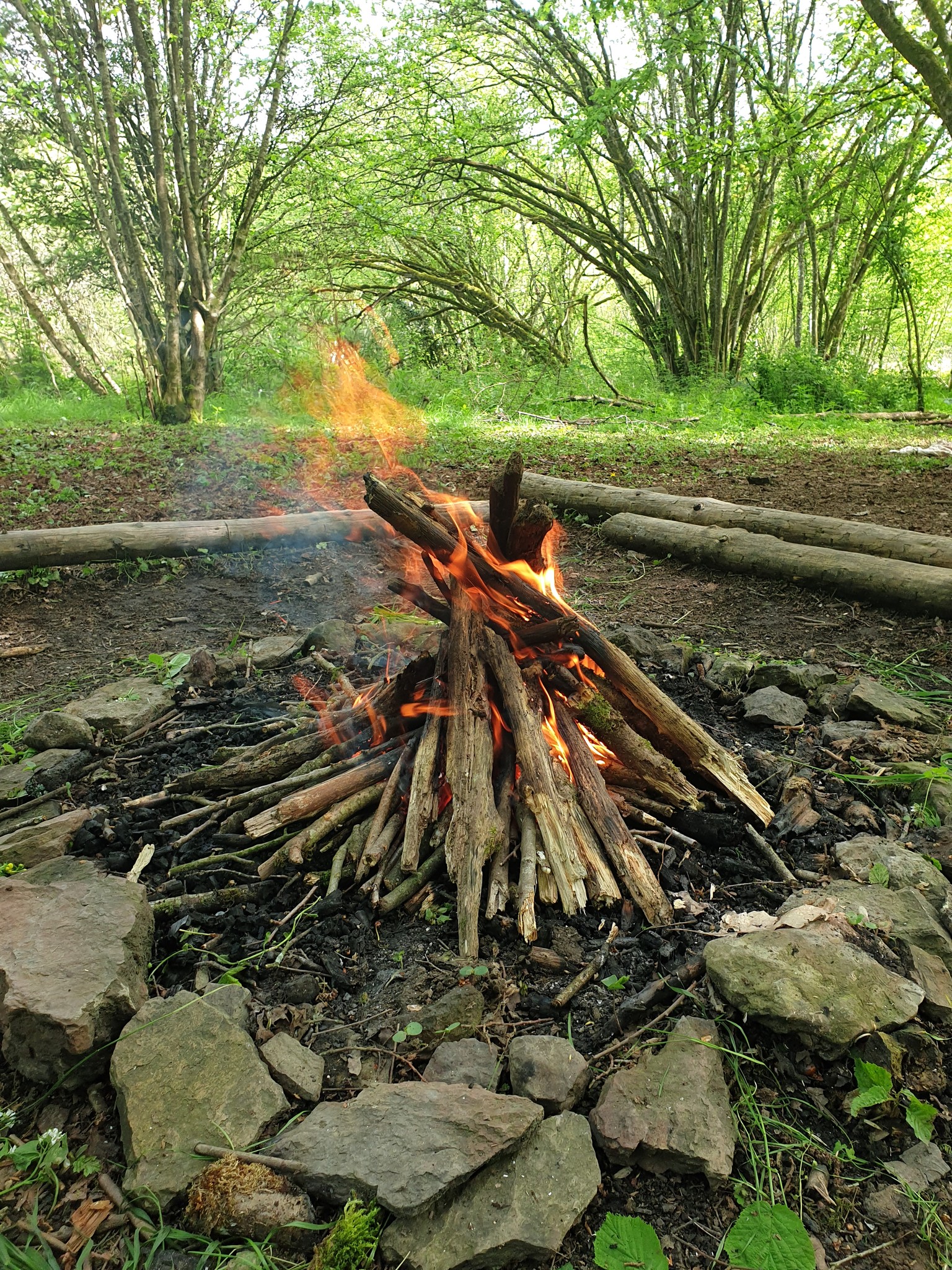 Histoires et magie, tout feu tout flamme !!