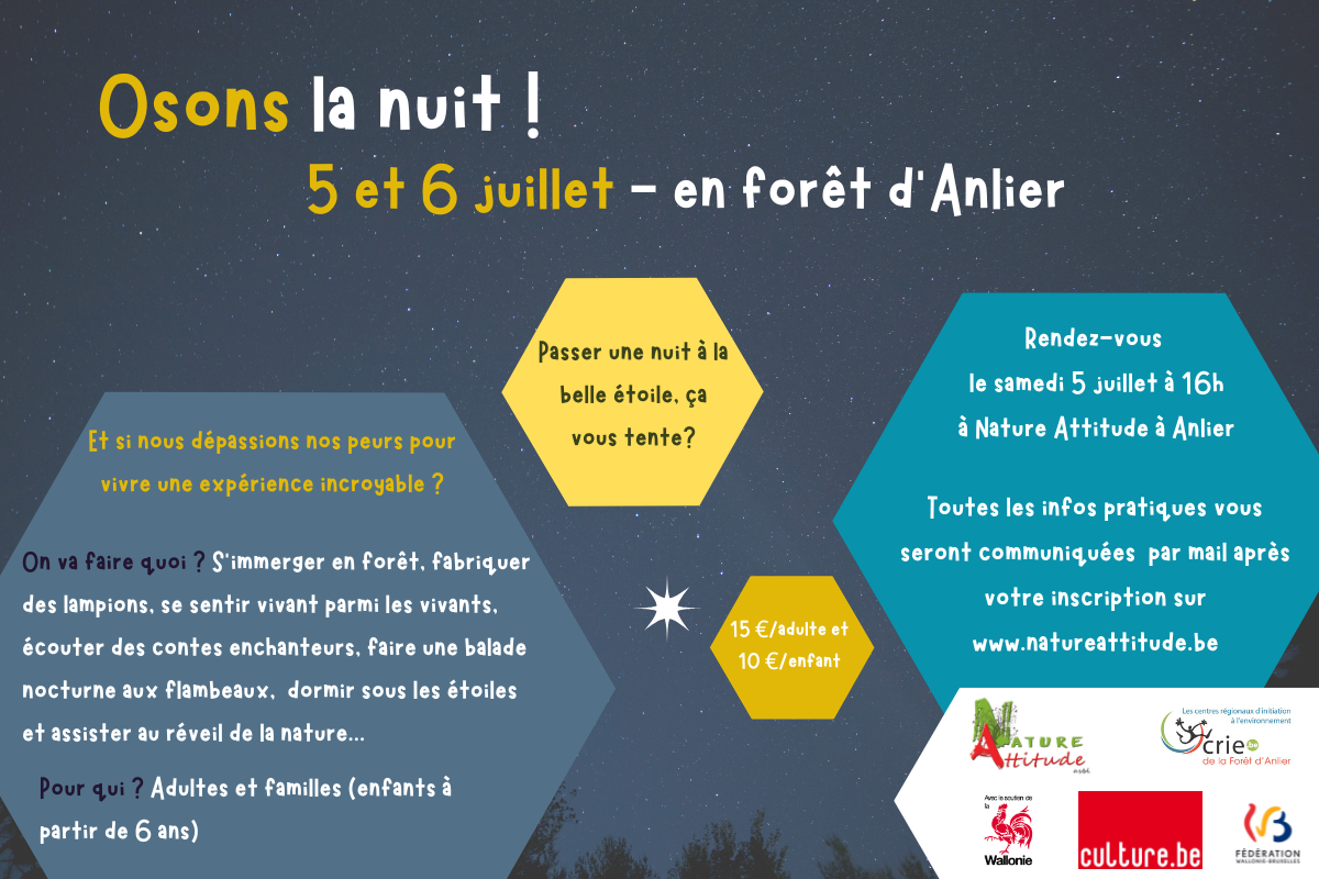 Une nuit à la belle étoile en forêt d'Anlier
