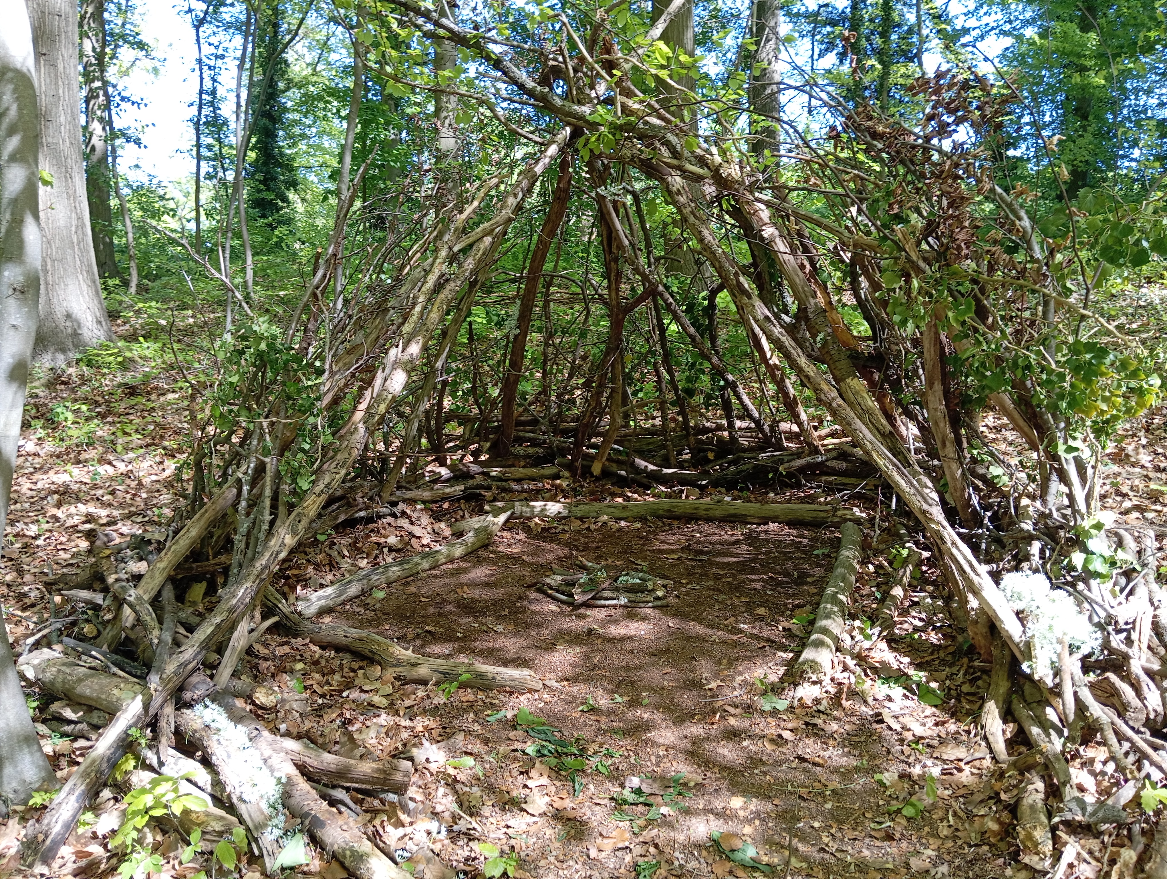 construction d'une cabane