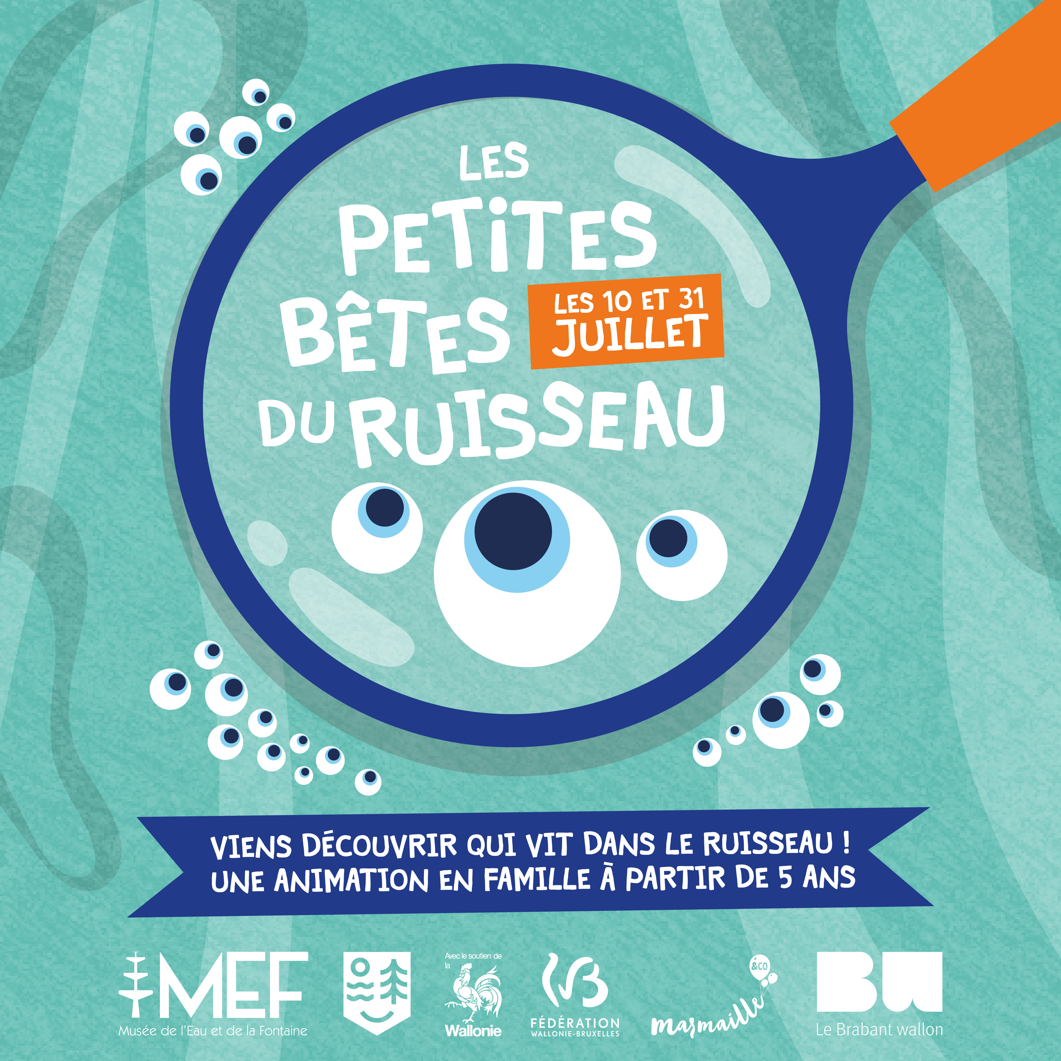 Les petites bêtes du ruisseau