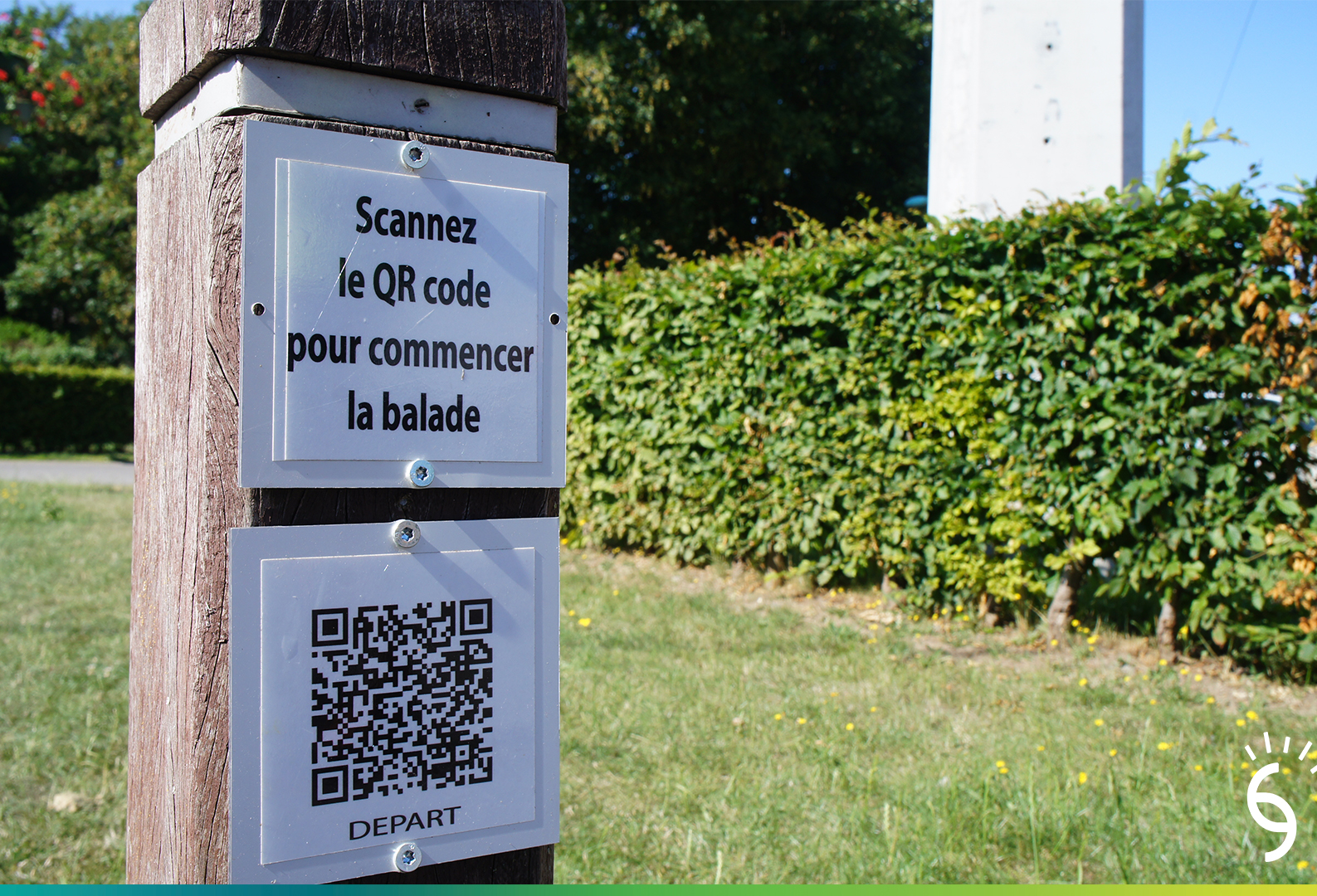©education environnement
