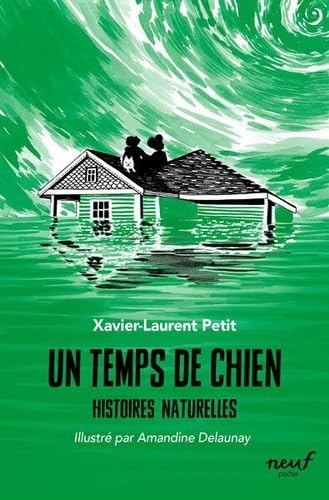 Un temps de chien