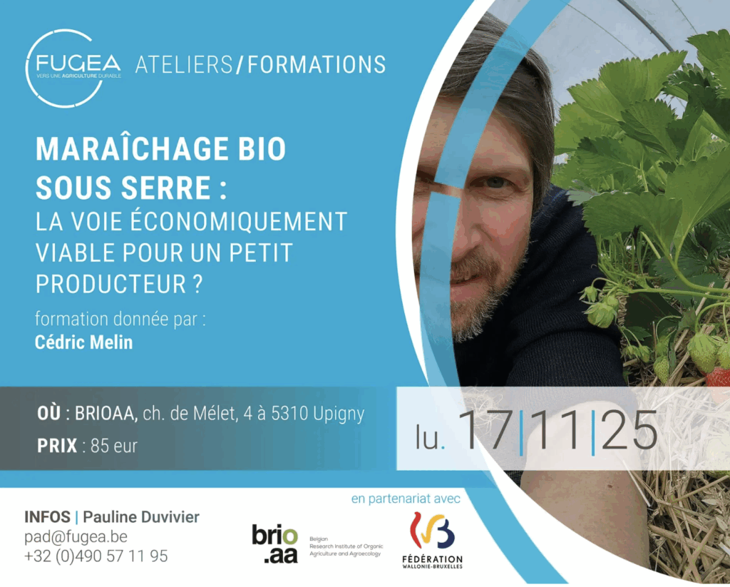 Maraîchage bio sous-serre