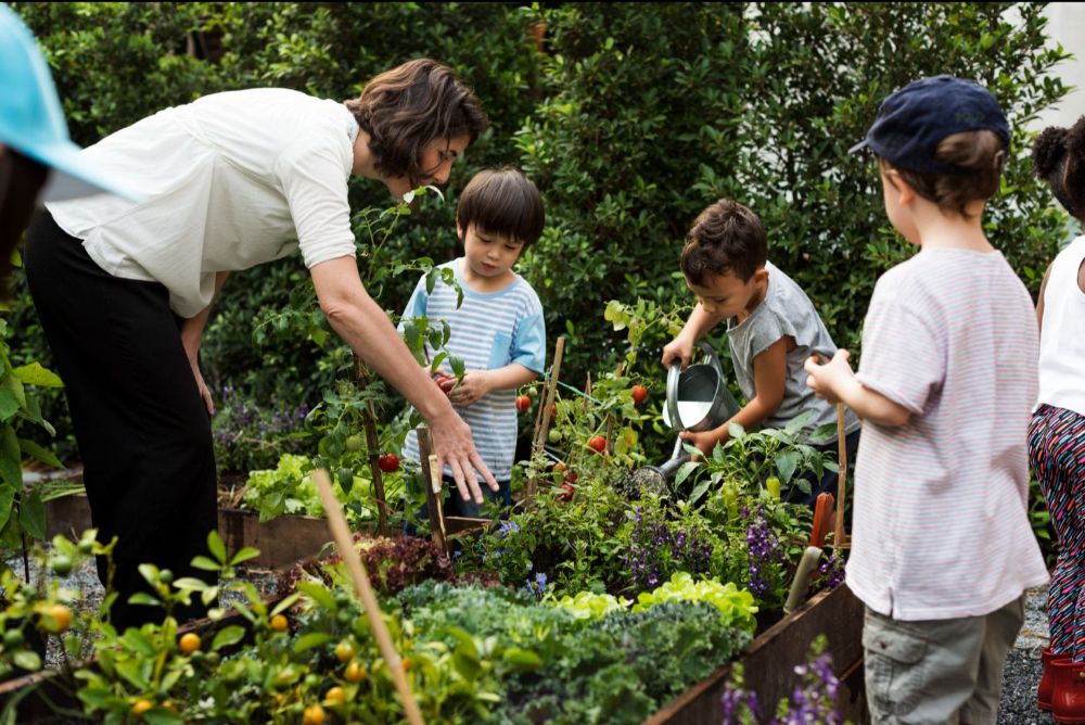 La biodiversité au potager