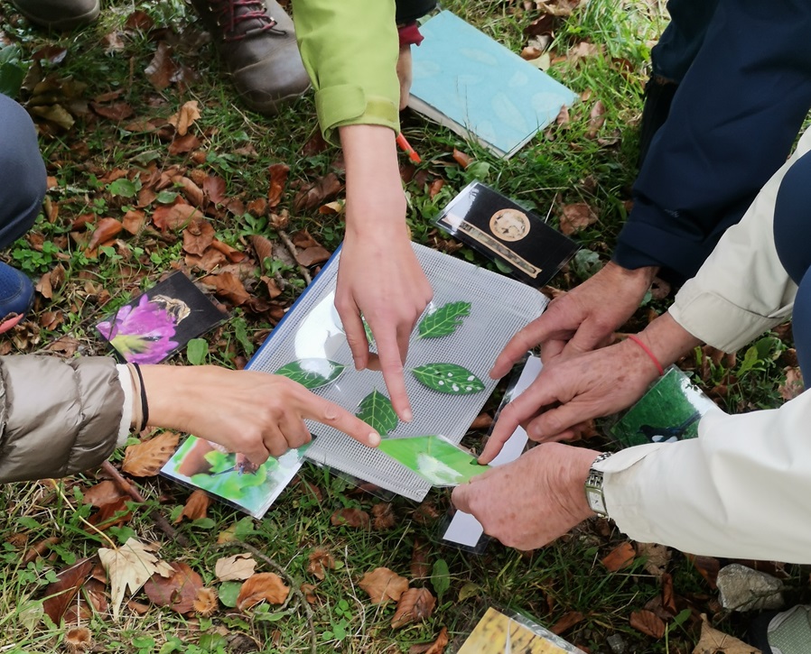 Formation naturaliste : La nature au fil des saisons