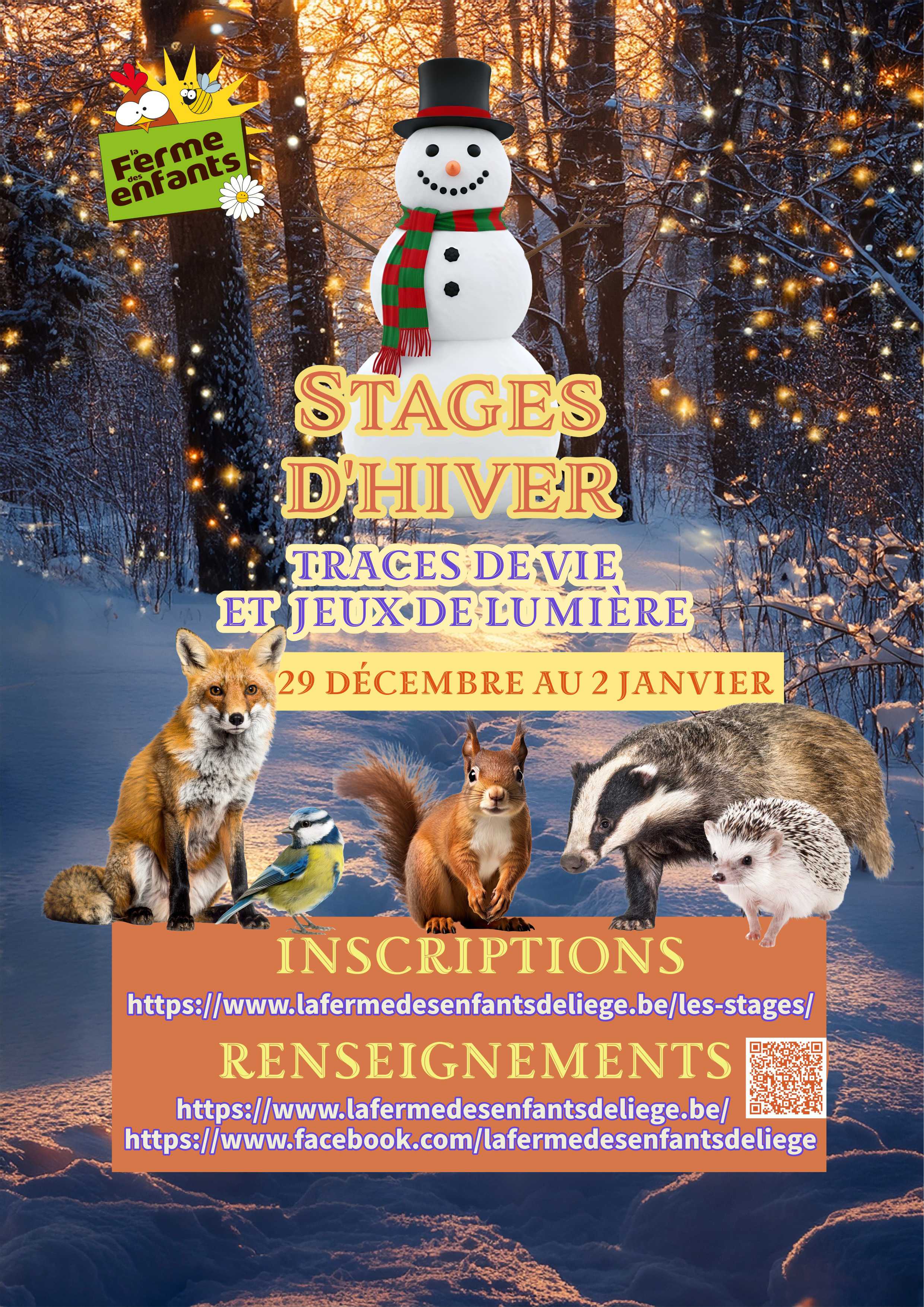 Affiche stage