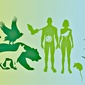 Éduquer pour la santé de tous les êtres vivants