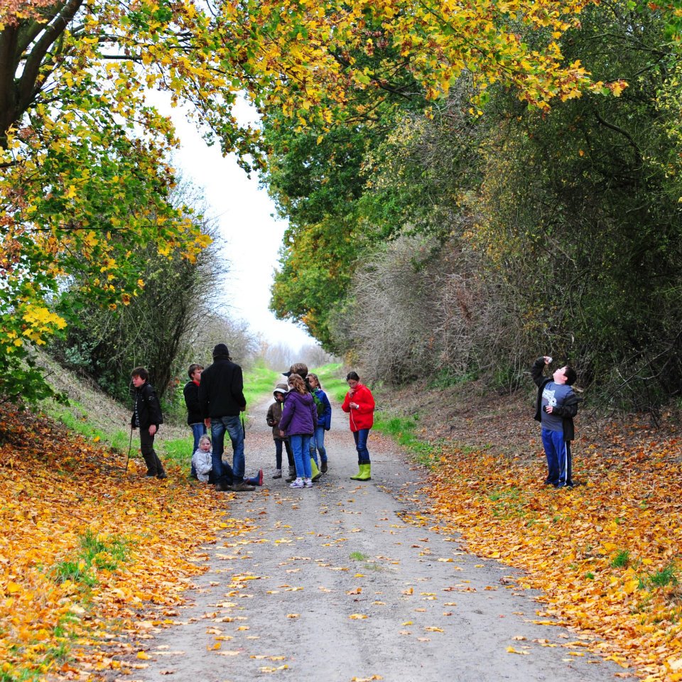 des personnes en balade sur un chemin couvert des feuilles d'automne