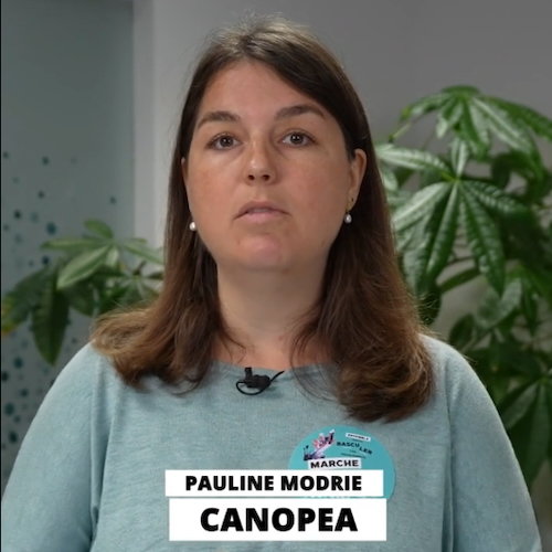 Canopea