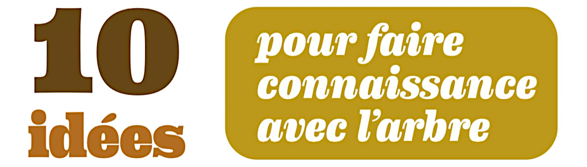 10 idées