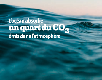 L’océan absorbe un quart du CO2 émis dans l'atmosphère