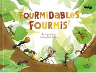 Fourmidables fourmis!