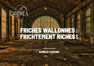 Friches wallonnes
