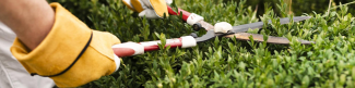 Entrepreneur de jardin
