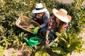 Horticulture