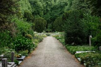 Entretien allées et parcs