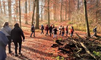 Balade automne (Bxl)