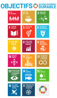 Contribuer aux Objectifs de Développement Durable