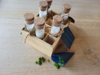 Atelier "Cocktails sauvages"