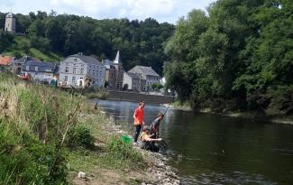 stage aux découvertes de comblain