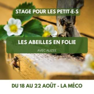 Stage été Les abeilles en folie