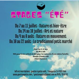 Programme des stages été 2024