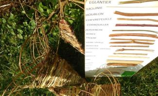 Un atelier de vannerie sauvage