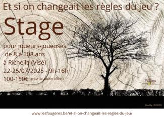 Affiche du stage "Et si on changeait les règles du jeu ?"