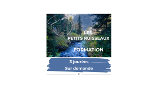 ©saute-ruisseau
