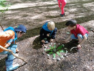créativité dans la nature