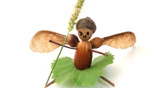Bricolage nature