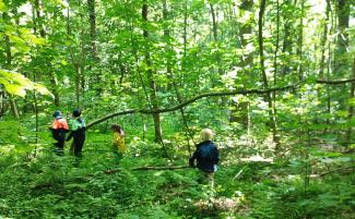 Stage nature enfants