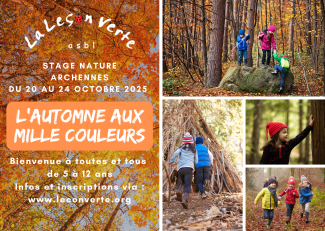 Flyer Stage "L'automne aux milles couleurs
