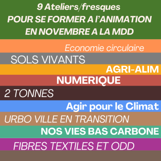Formation à l'animation en novembre à la MDD