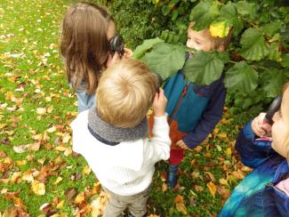 stage nature automne 
