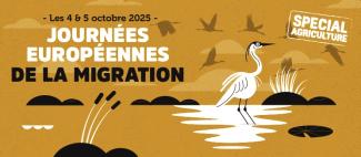 Journées Européennes de la Migration 2025