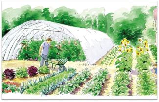 formation permaculture